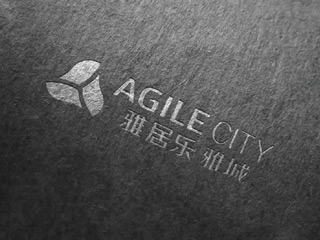 Agile City